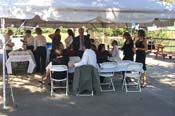 seanwedding051